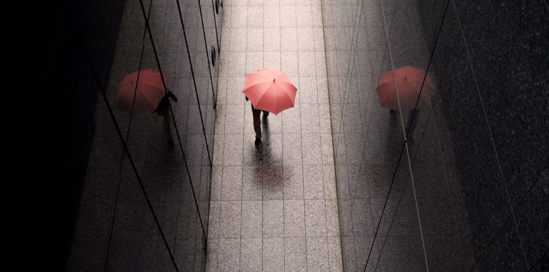 Διανομή κερδών 2024 και προκαταβολή φόρου