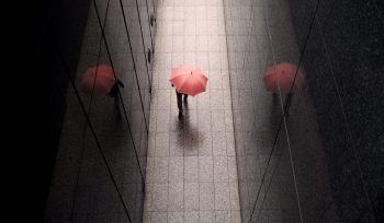 Διανομή κερδών 2024 και προκαταβολή φόρου